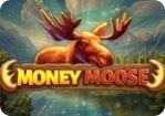 Money-Moose